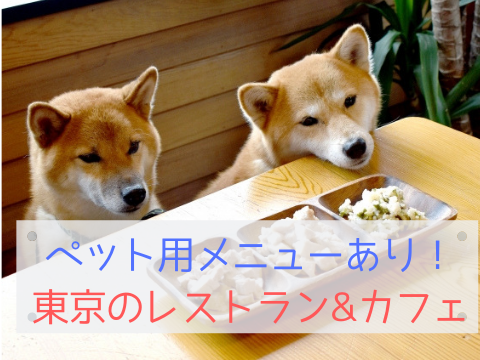 東京 犬同伴可のレストラン9選 ペット用メニューあり たの柴