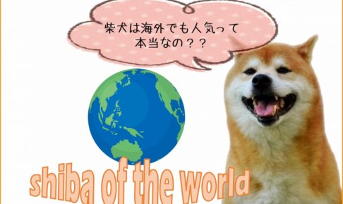 海外で柴犬が人気の理由は 世界進出した有名日本犬も紹介 たの柴