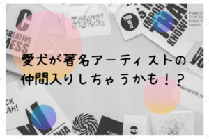 最新版 柴犬に付けたい人気の名前 和風から珍しい名前も たの柴